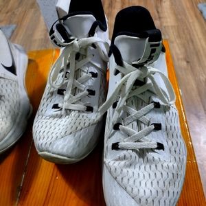 Lebron James Nike shoes